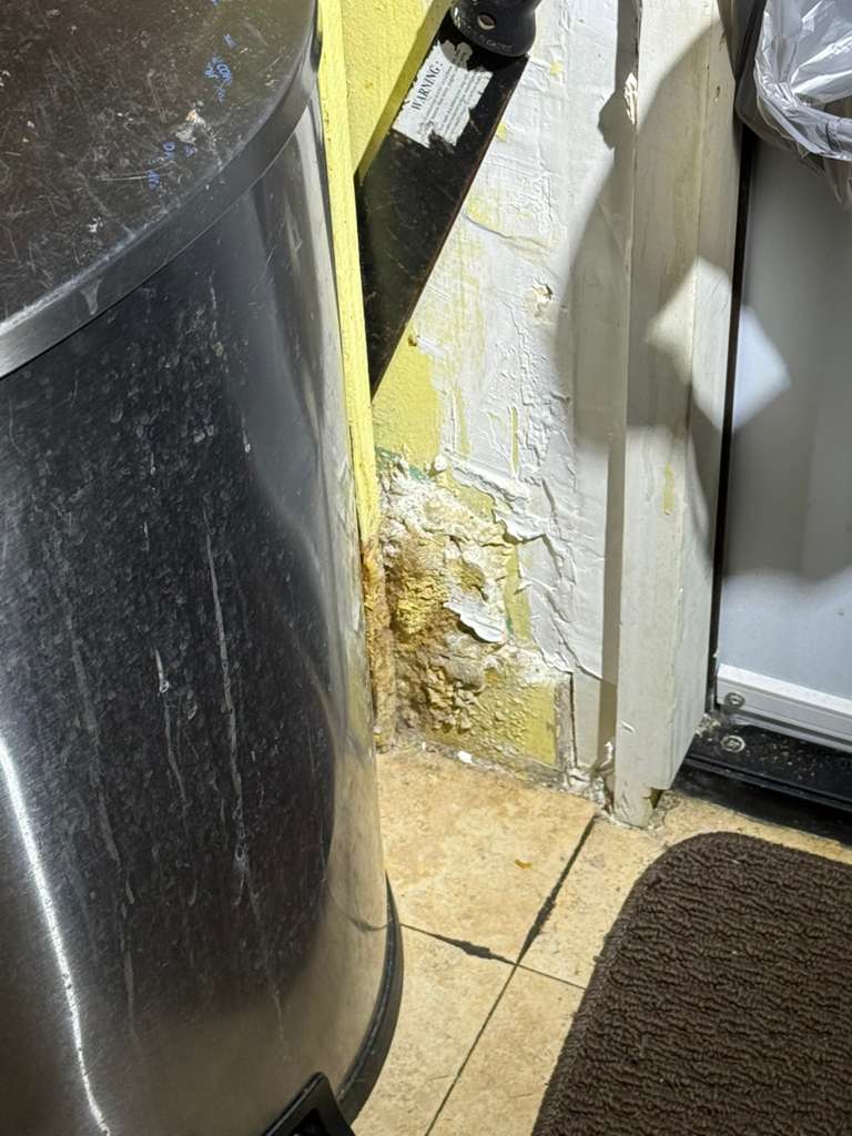 WhatsApp Image 2026 01 27 at 08.36.41 2 1